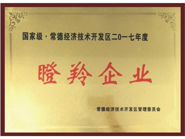 榮譽證書-(10)